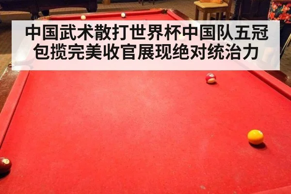 中国武术散打世界杯中国队五冠包揽完美收官展现绝对统治力